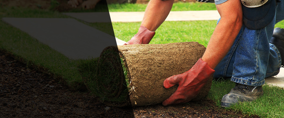 Delhi Landscapers